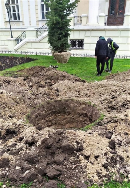 Возле Лаокоона появились голубые ели