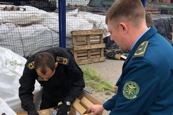 
Зарплата в 30 тыс. грн и полиграф: таможенников переводят на контракты
