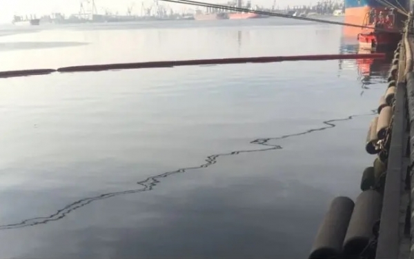 В Днепро-Бугский лиман попало подсолнечное масло