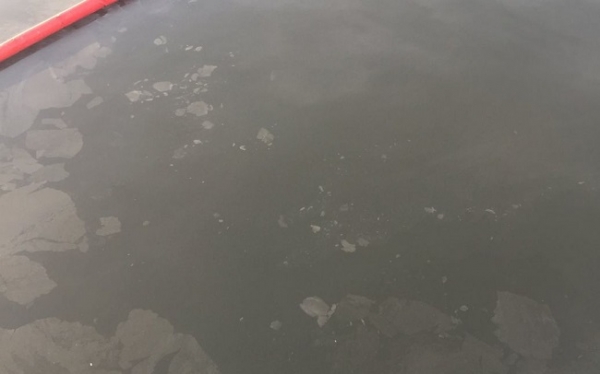 В Днепро-Бугский лиман попало подсолнечное масло