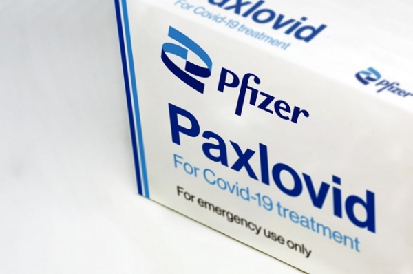 Украина купит у Pfizer 300 тысяч курсов лекарства от ковида