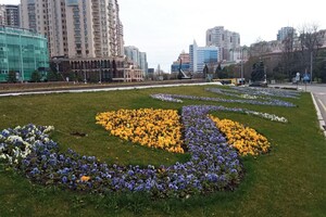 На площади 10 апреля появилась патриотическая цветочная композиция 