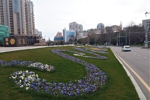 На площади 10 апреля появилась патриотическая цветочная композиция 
