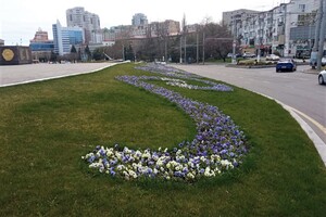 На площади 10 апреля появилась патриотическая цветочная композиция 