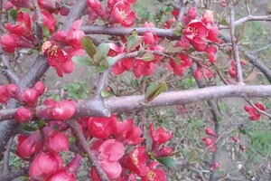 Концерт фолк-группы и шоу мыльных пузырей: куда пойти в Одессе на этих выходных