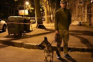 Расчленил и разбросал части тела в мусорных баках: в Одессе задержали подозреваемого в убийстве матери