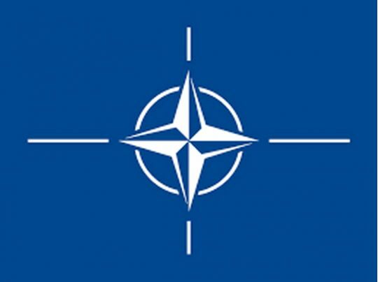 Україна не&nbsp;буде розчарована самітом НАТО,&nbsp;&mdash; президент Литви