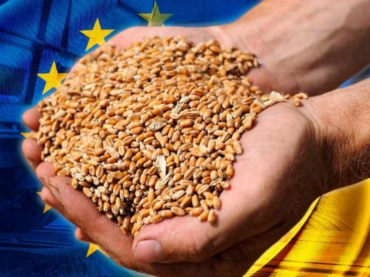 До схем з недоотриманням $ 140 млн податків зі схем з експортом зерна причетний Мінфін — ЦПК