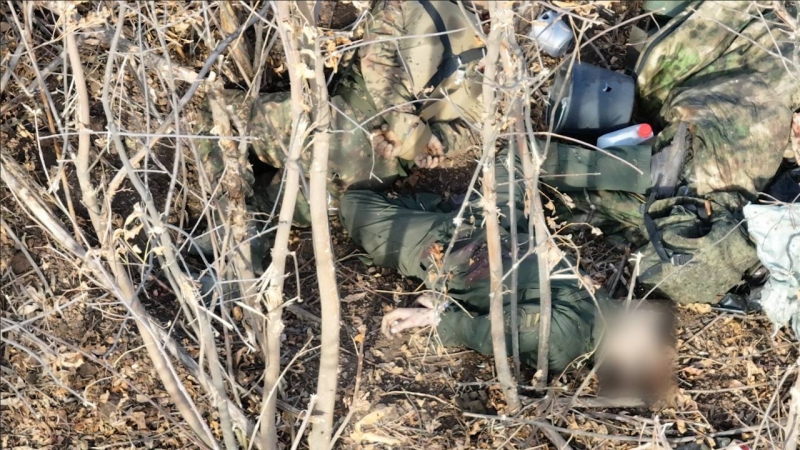 Руки пов'язані за спиною: окупанти розстріляли українських полонених (фото 18+)