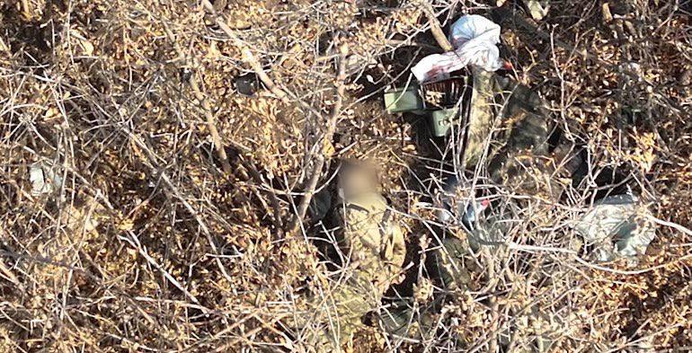 Руки пов'язані за спиною: окупанти розстріляли українських полонених (фото 18+)