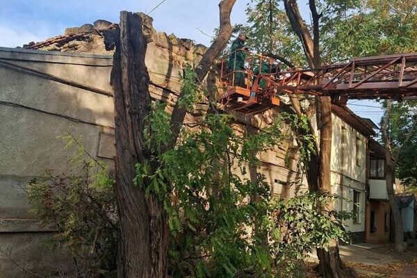 Ветер в Одессе повалил 71 дерево в Одессе Ветер в Одессе повалил 71 дерево в Одессе