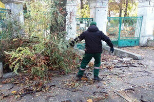 Ветер в Одессе повалил 71 дерево в Одессе Ветер в Одессе повалил 71 дерево в Одессе