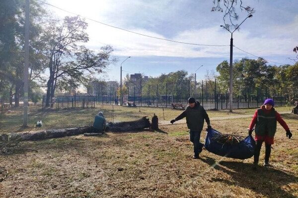 Ветер в Одессе повалил 71 дерево в Одессе Ветер в Одессе повалил 71 дерево в Одессе