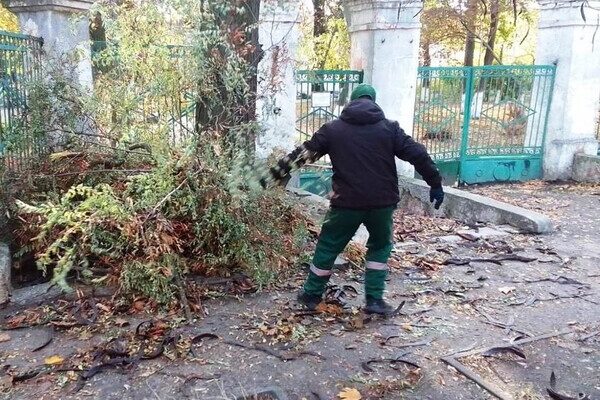 Ветер в Одессе повалил 71 дерево в Одессе Ветер в Одессе повалил 71 дерево в Одессе