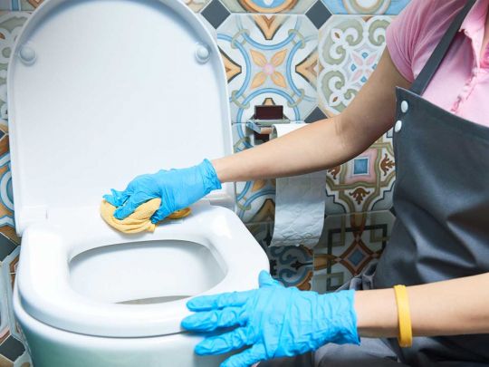 Простий спосіб очистити унітаз, не торкаючись його: лайфхак від Олени Матвєєвої