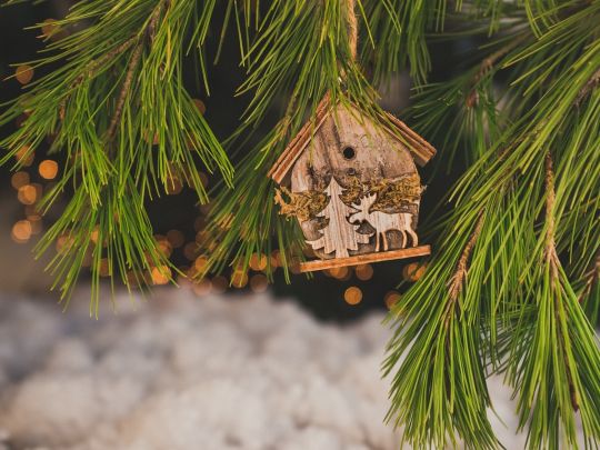 На сніг не чекайте: прогноз синоптиків на перший тиждень зими