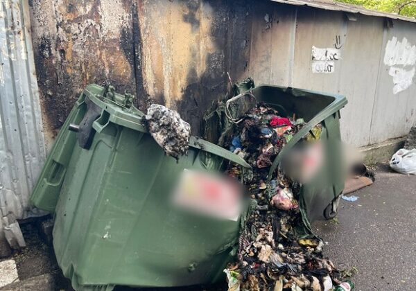 В Одессе пенсионерка уничтожила мусорные баки и повредила гараж с автомобилем: подробности
