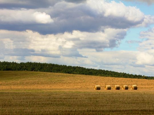 Літо відступає: спека спадає, в&nbsp;Україну йдуть дощі