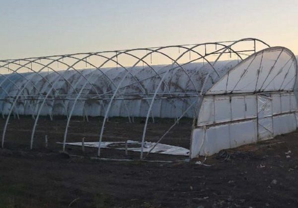 Нічна атака стала рекордною: понад 800 дронів та ракет били по Україні