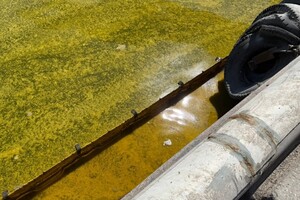 Из-за удара по порту на Одесщине в море попали тонны подсолнечного масла Из-за удара по порту на Одесщине в море попали тонны подсолнечного масла