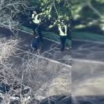 Двом поліціянтам, які втекли під час теракту в Києві, повідомлено про підозру: відео з бодікамер