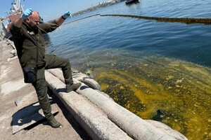 Из-за удара по порту на Одесщине в море попали тонны подсолнечного масла Из-за удара по порту на Одесщине в море попали тонны подсолнечного масла